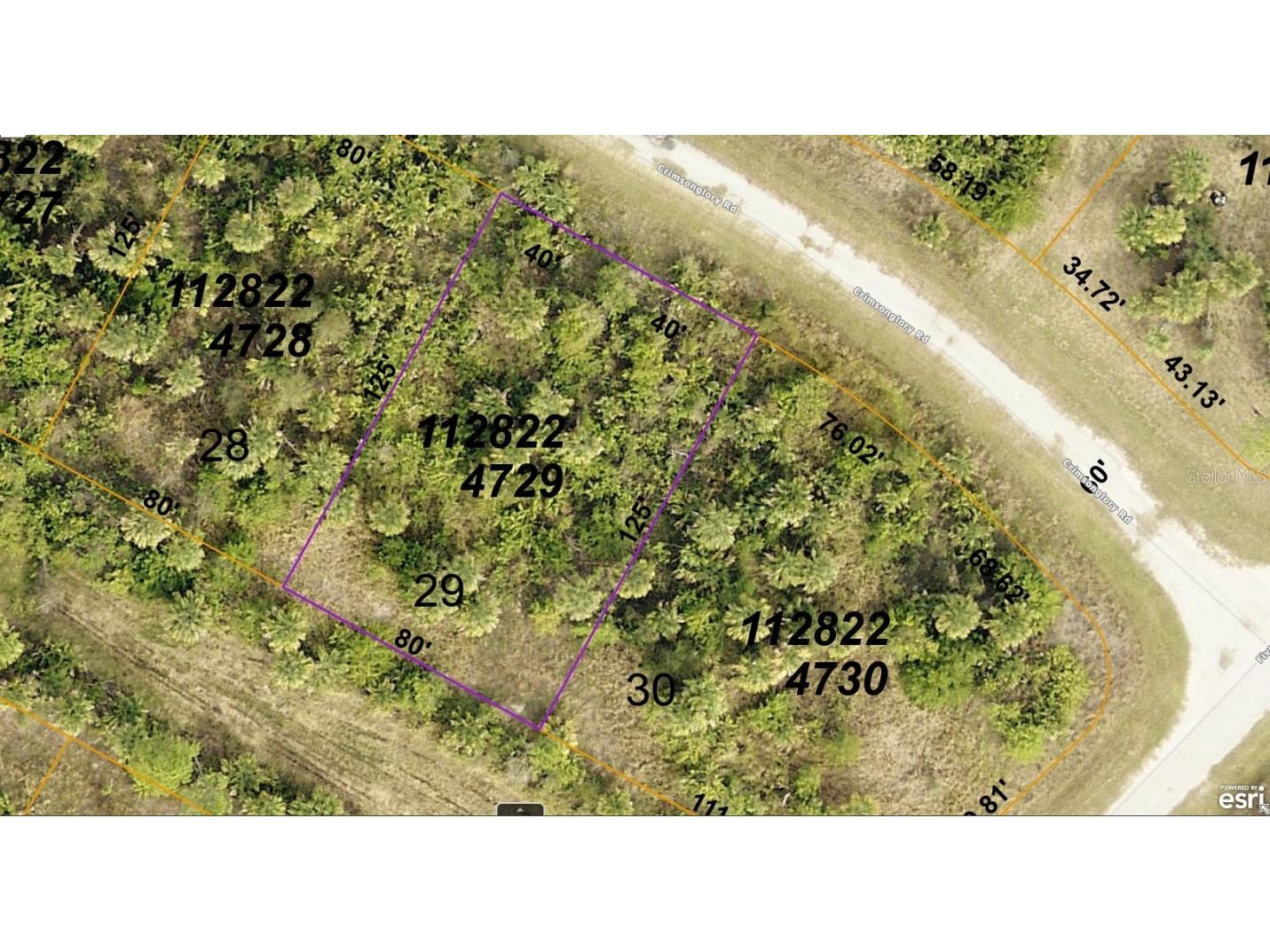 1128224729 Crimsonglory Road North Port FL 34288 A4614402 image1