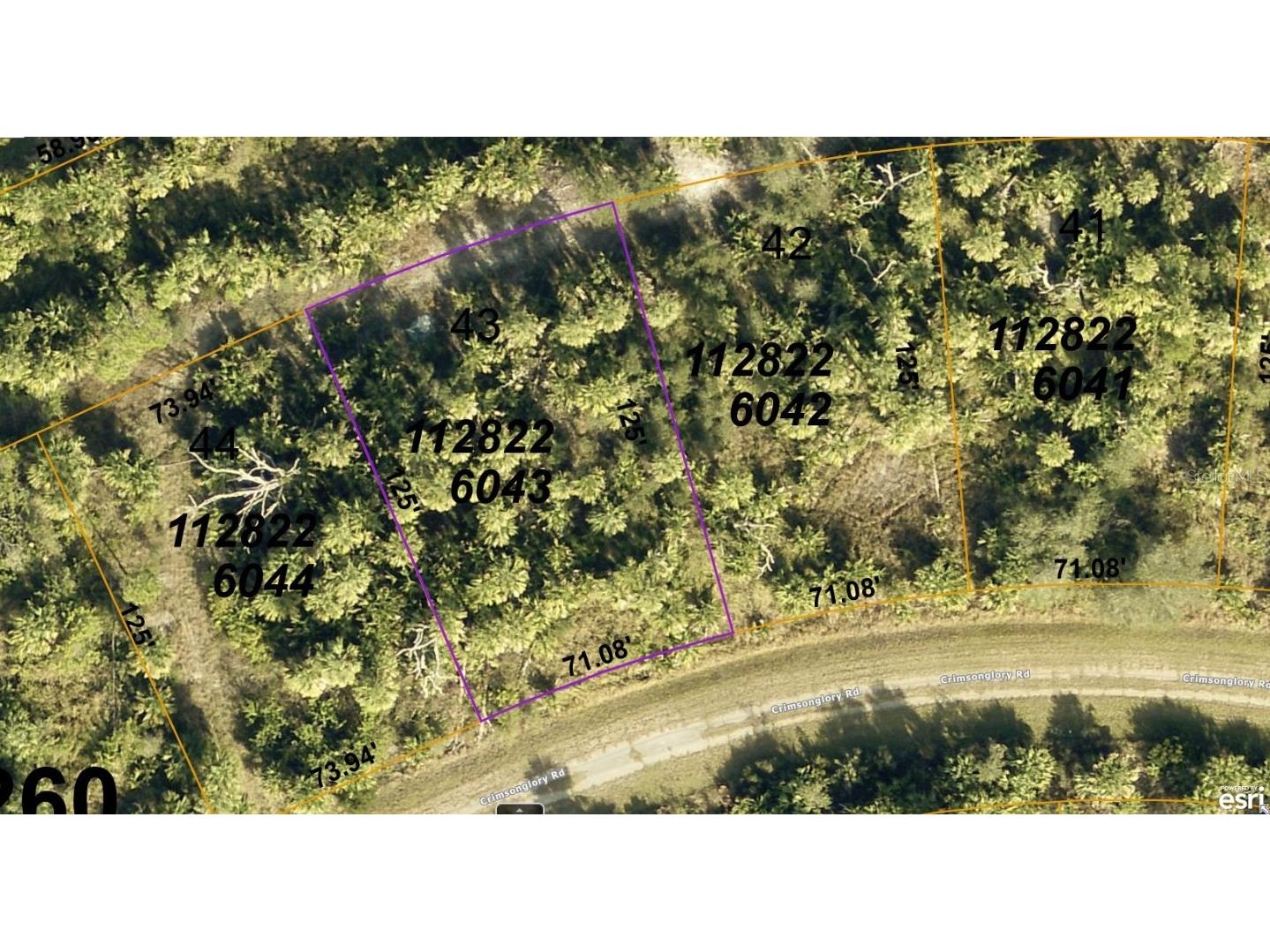 1128226043 Crimsonglory Road North Port FL 34288 A4621668 image1