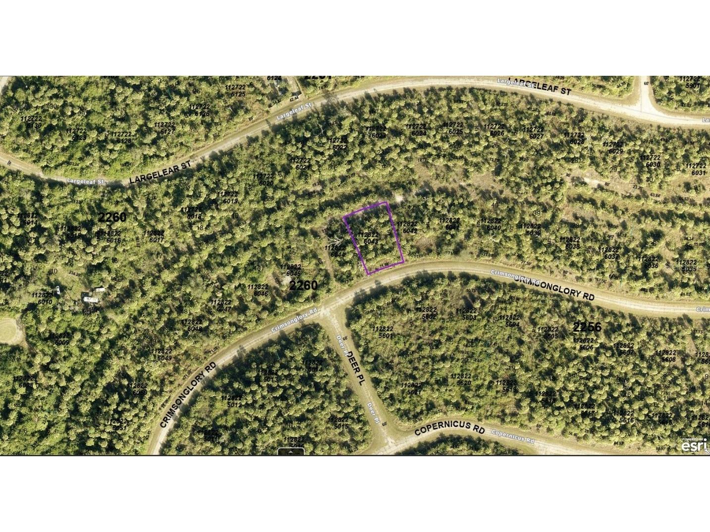 1128226043 Crimsonglory Road North Port FL 34288 A4621668 image2