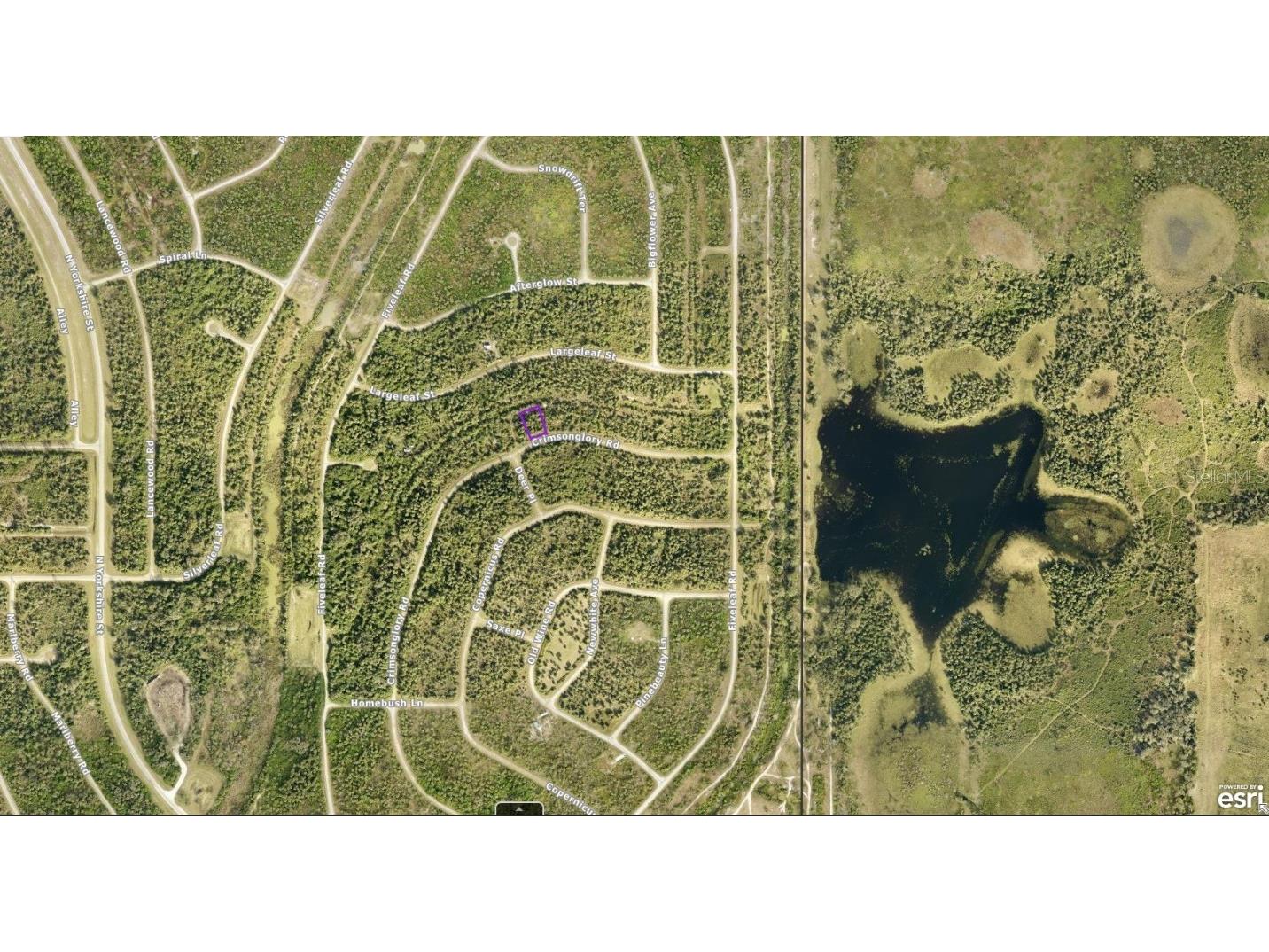 1128226043 Crimsonglory Road North Port FL 34288 A4621668 image3