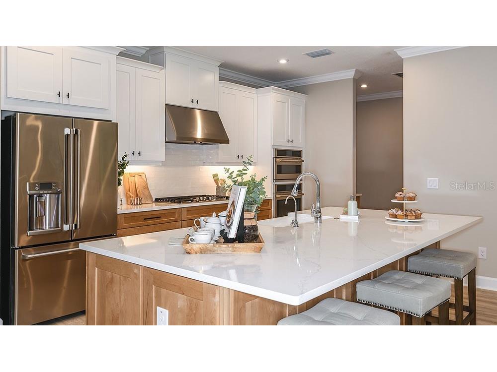 11283 Manor House Lane Odessa FL 33556 TB8494838 image5