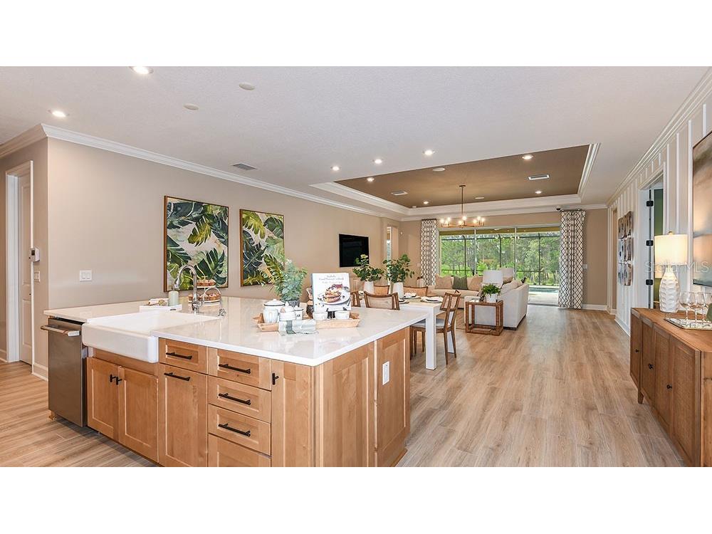 11283 Manor House Lane Odessa FL 33556 TB8494838 image6