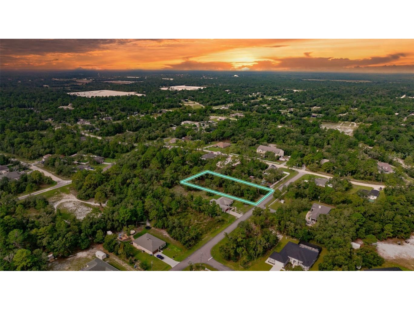 11283 Mexican Canary Avenue Weeki Wachee FL 34614 W7867212 image1