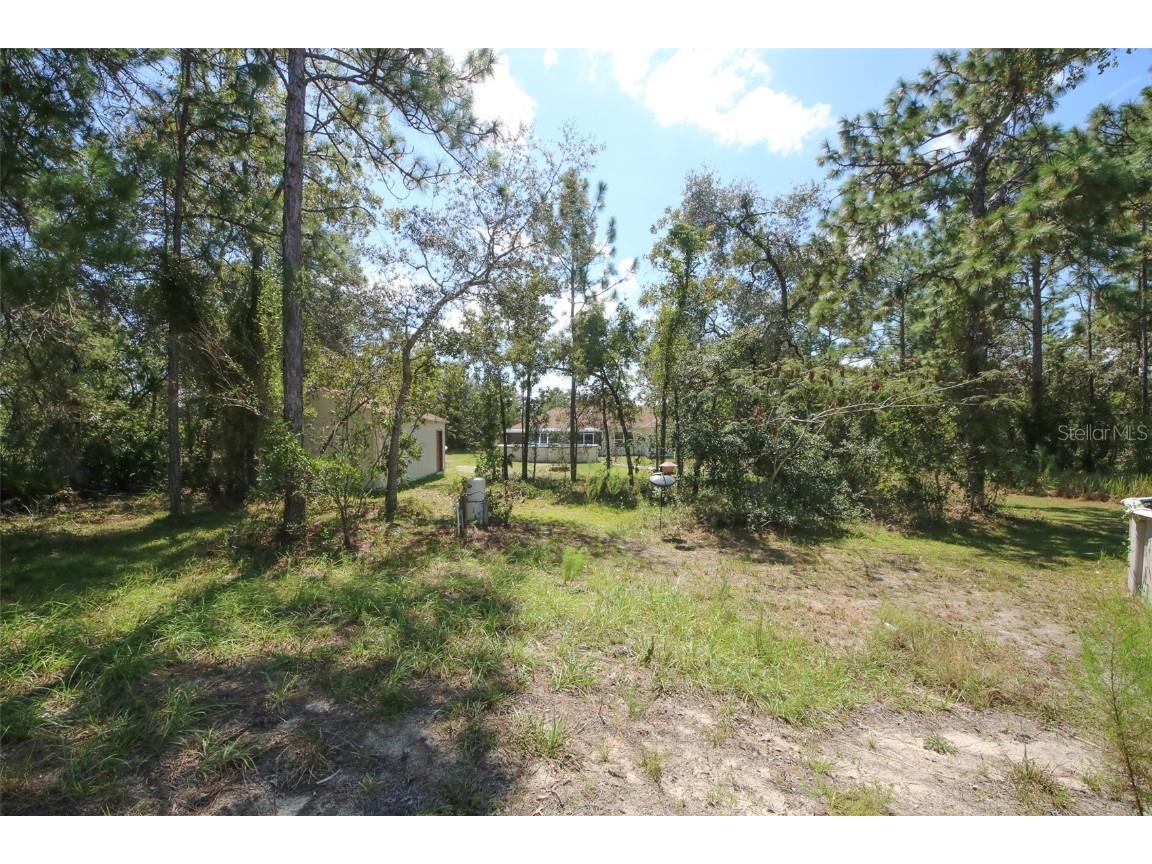 11284 Centralia Road Weeki Wachee FL 34614 W7878805 image6