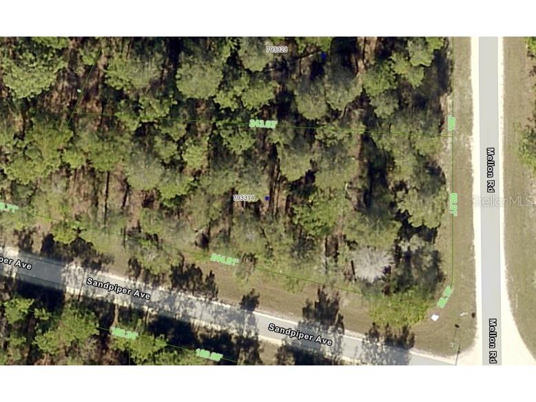 11285 Sandpiper Avenue Weeki Wachee FL 34614 W7864188 image1