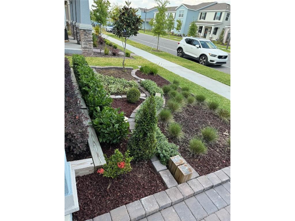 11288 Listening Drive Orlando FL 32832 O6353346 image4