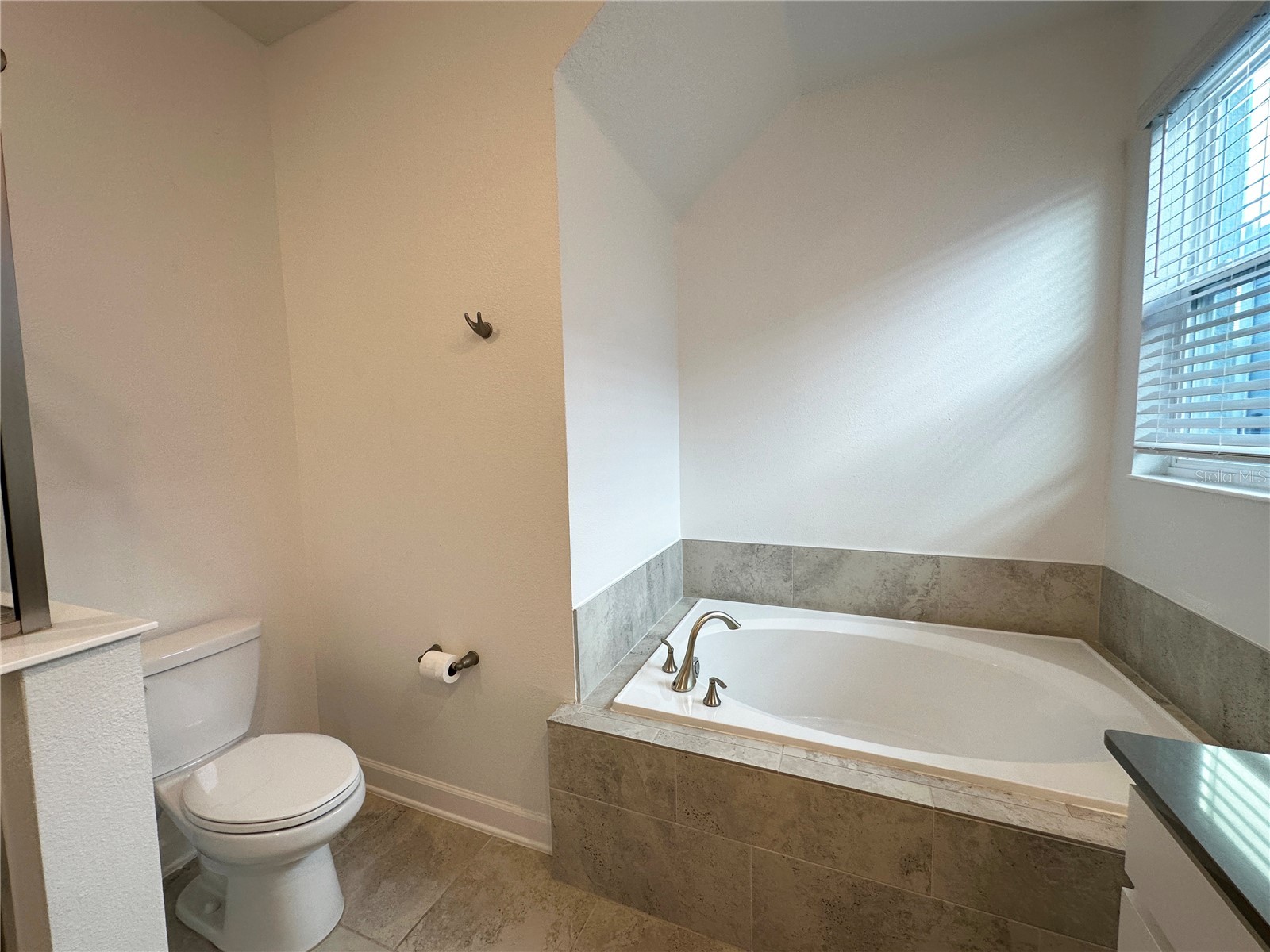 11288 Listening Drive Orlando FL 32832 O6377892 image13