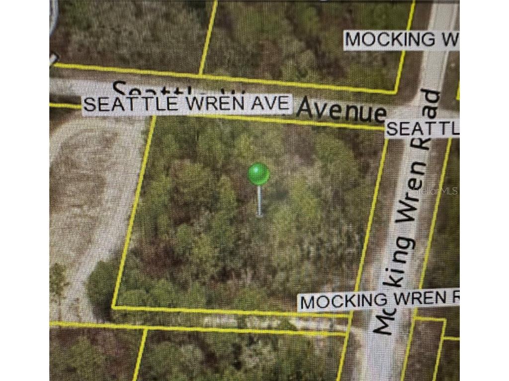 11288 Seattle Wren Avenue Weeki Wachee FL 34614 W7875320 image1