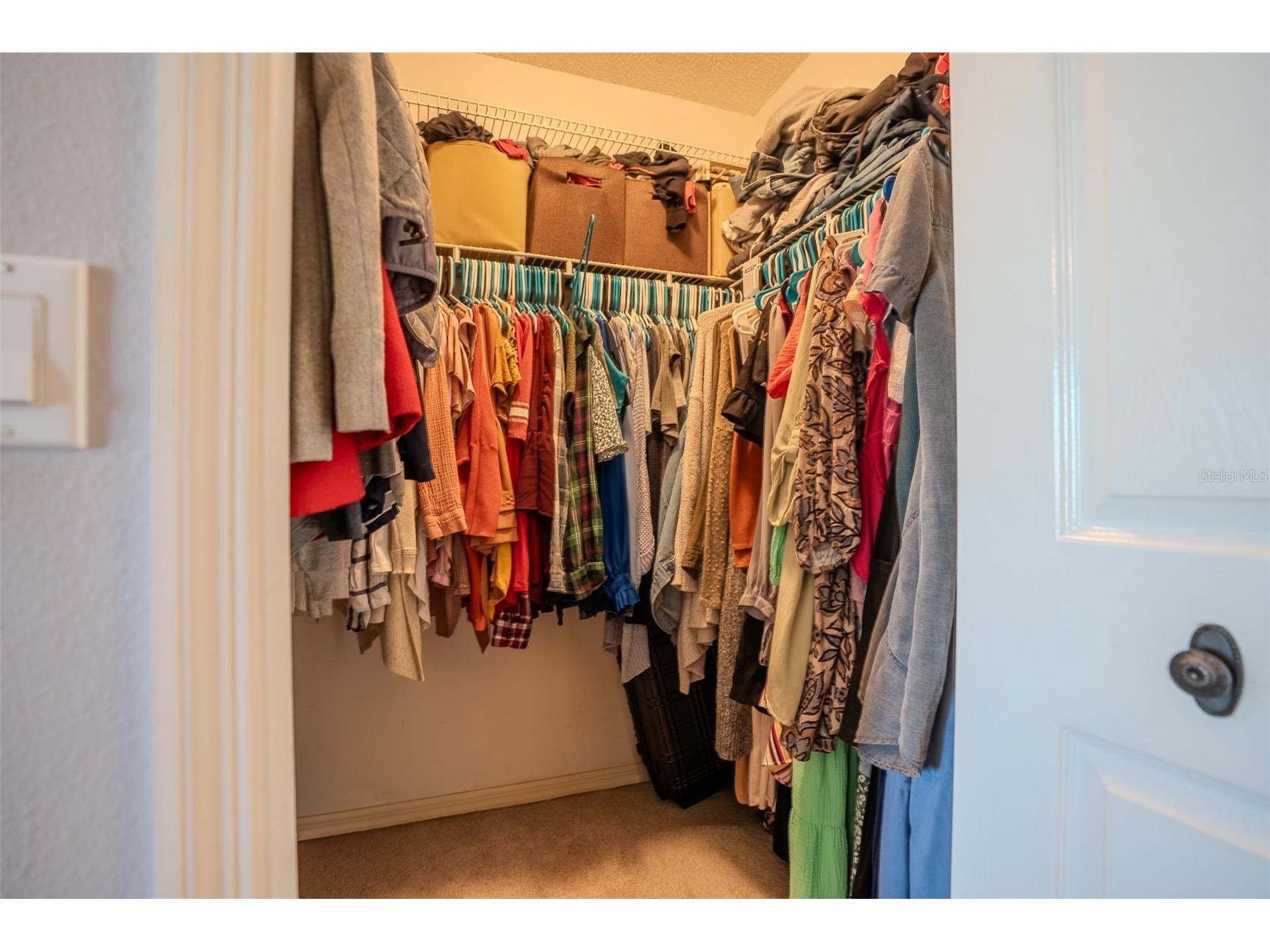 1129 Daleside Lane New Port Richey FL 34655 TB8480388 image25