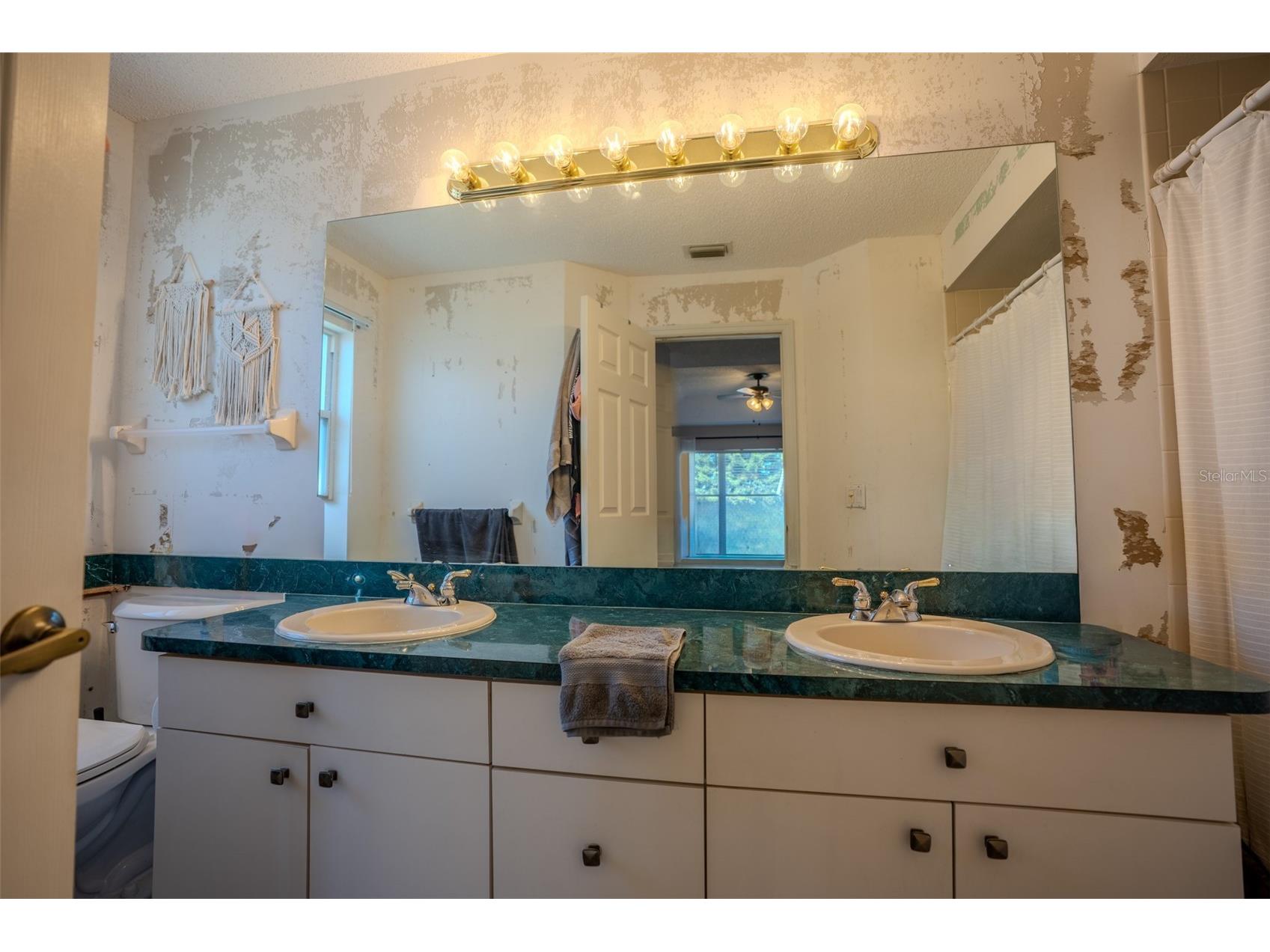 1129 Daleside Lane New Port Richey FL 34655 TB8480388 image26