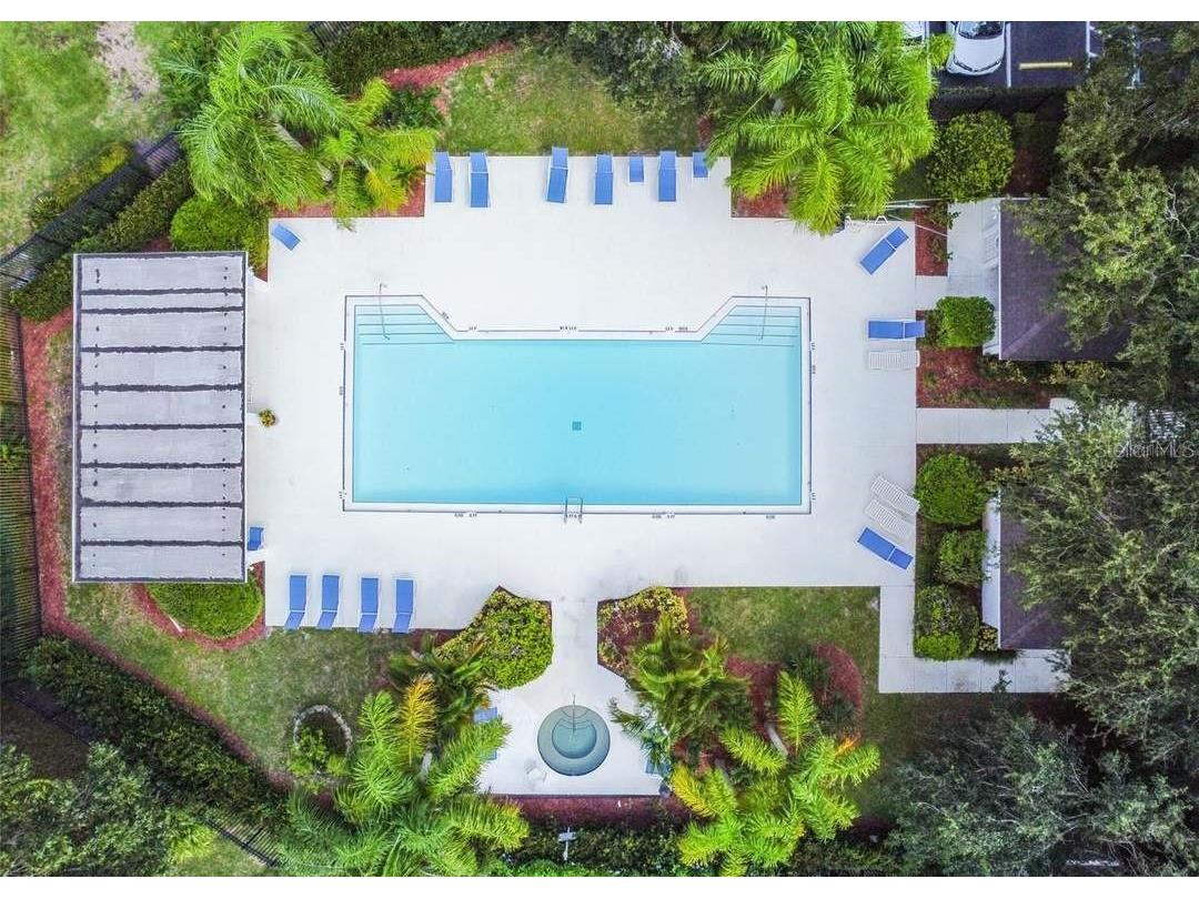 1129 Daleside Lane New Port Richey FL 34655 TB8480388 image34