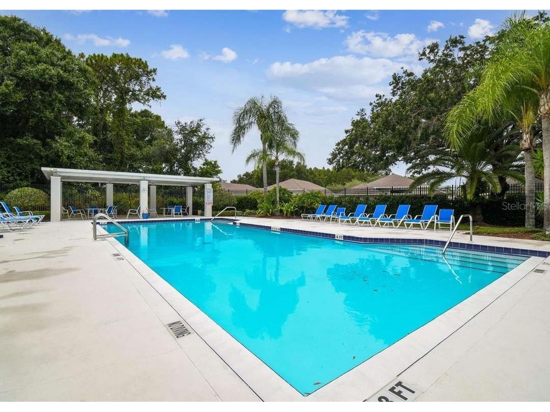 1129 Daleside Lane New Port Richey FL 34655 TB8480388 image36