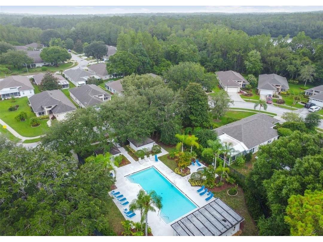 1129 Daleside Lane New Port Richey FL 34655 TB8480388 image39