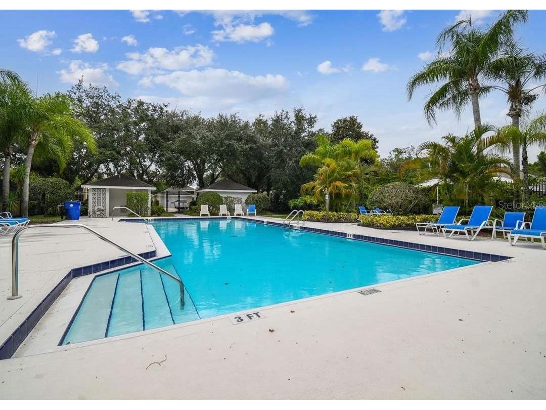 1129 Daleside Lane New Port Richey FL 34655 TB8480388 image42