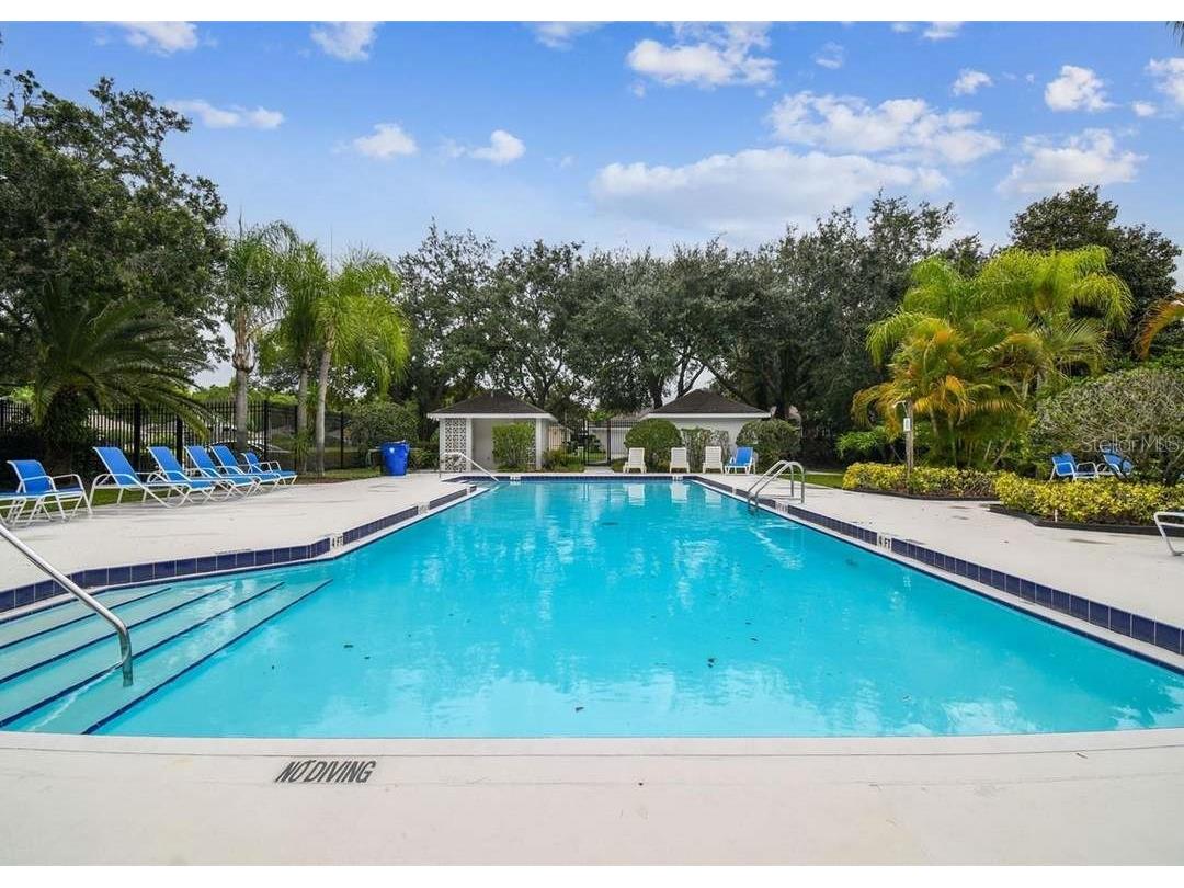 1129 Daleside Lane New Port Richey FL 34655 TB8480388 image43