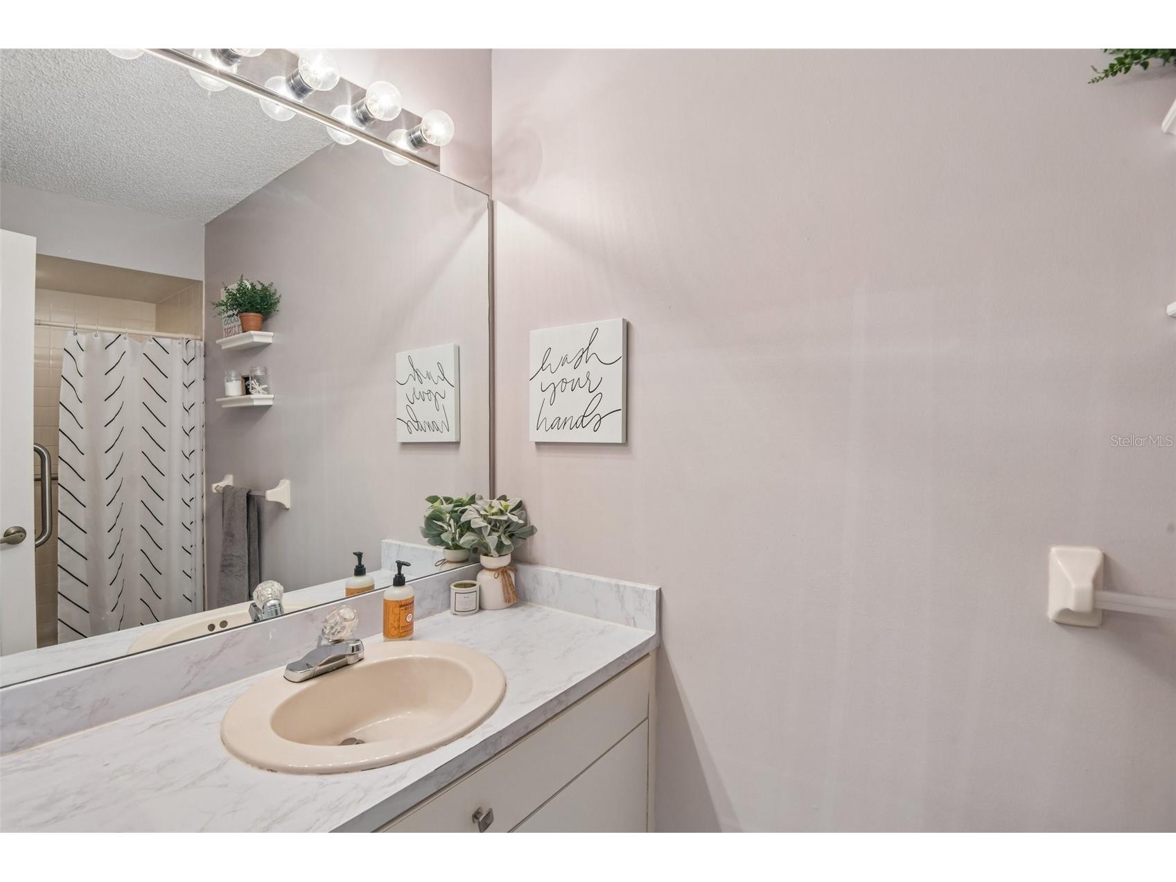1129 Daleside Lane New Port Richey FL 34655 TB8507838 image21