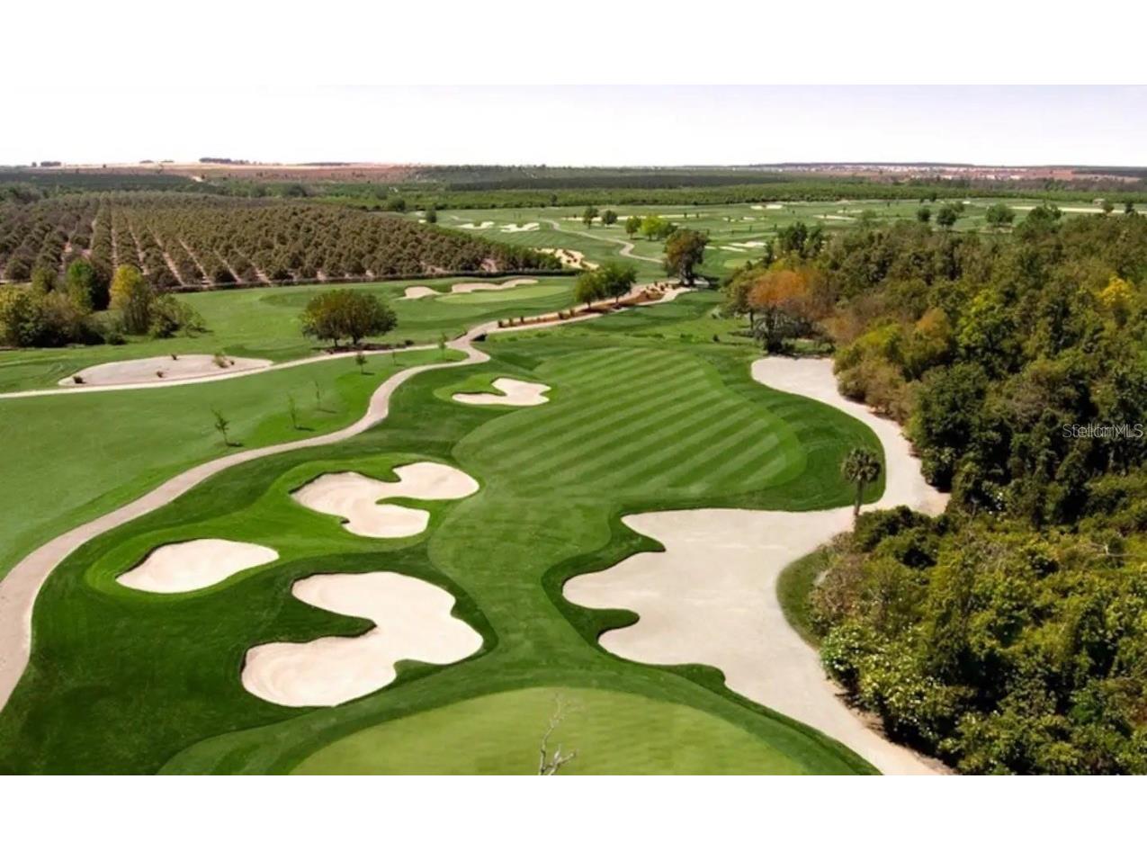 1129 Drop Lane #1129 Davenport FL 33896 O6293593 image42