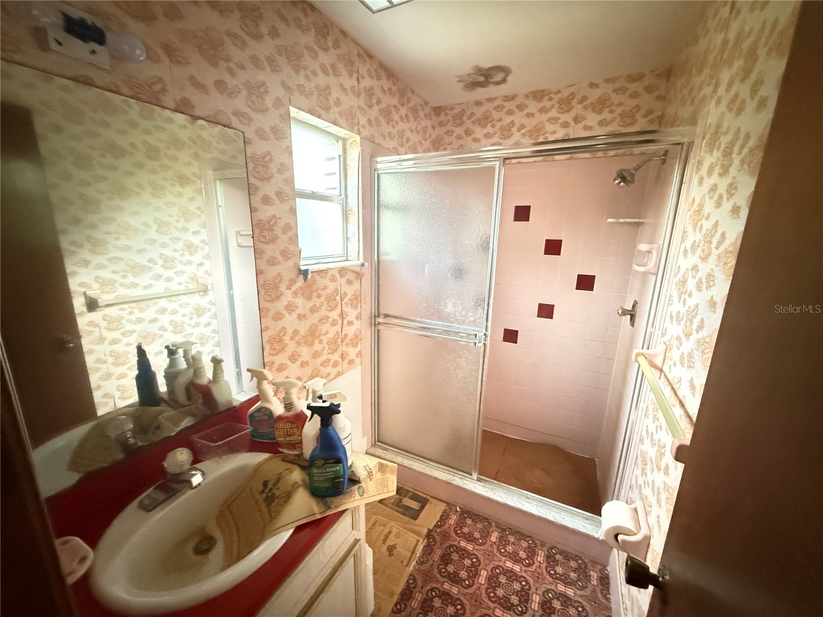1129 E Willow Run Drive Port Orange FL 32129 O6397703 image6