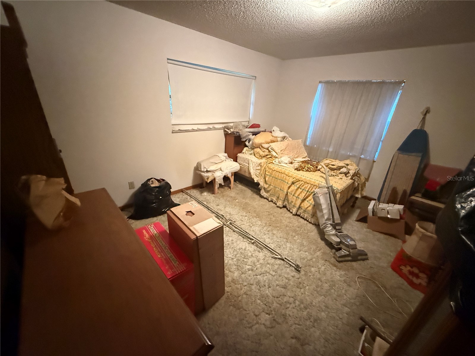 1129 E Willow Run Drive Port Orange FL 32129 O6397703 image8