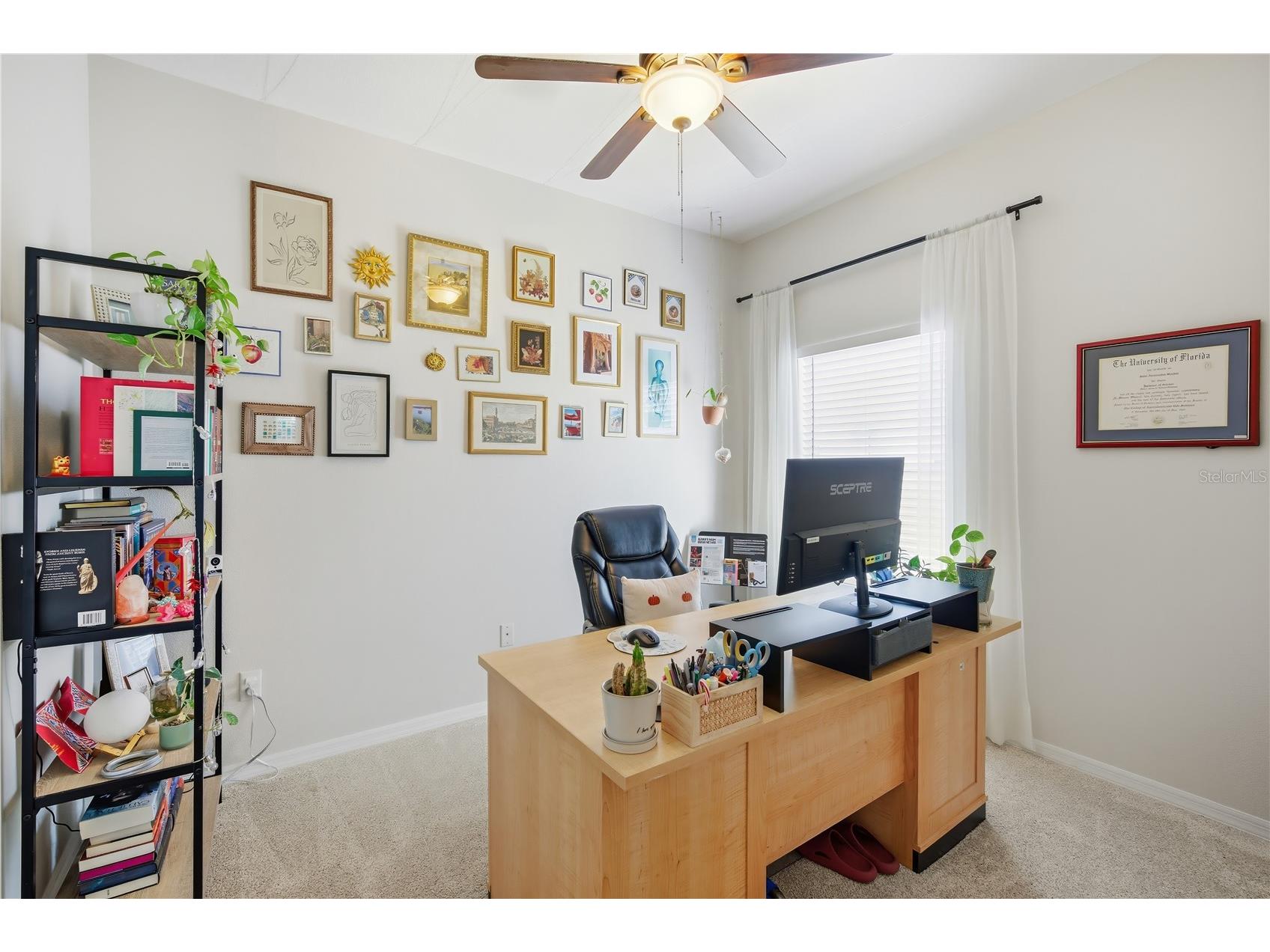 1129 Emerald Hill Way Valrico FL 33594 TB8472148 image16