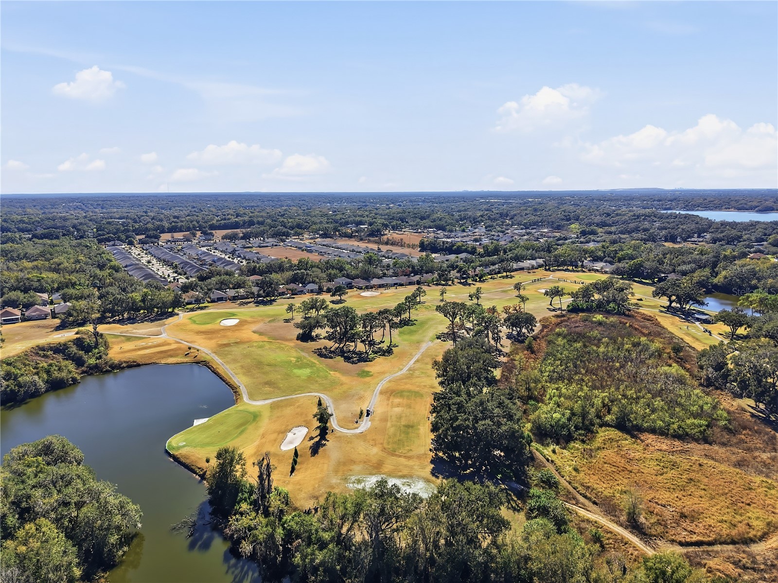 1129 Emerald Hill Way Valrico FL 33594 TB8472148 image21