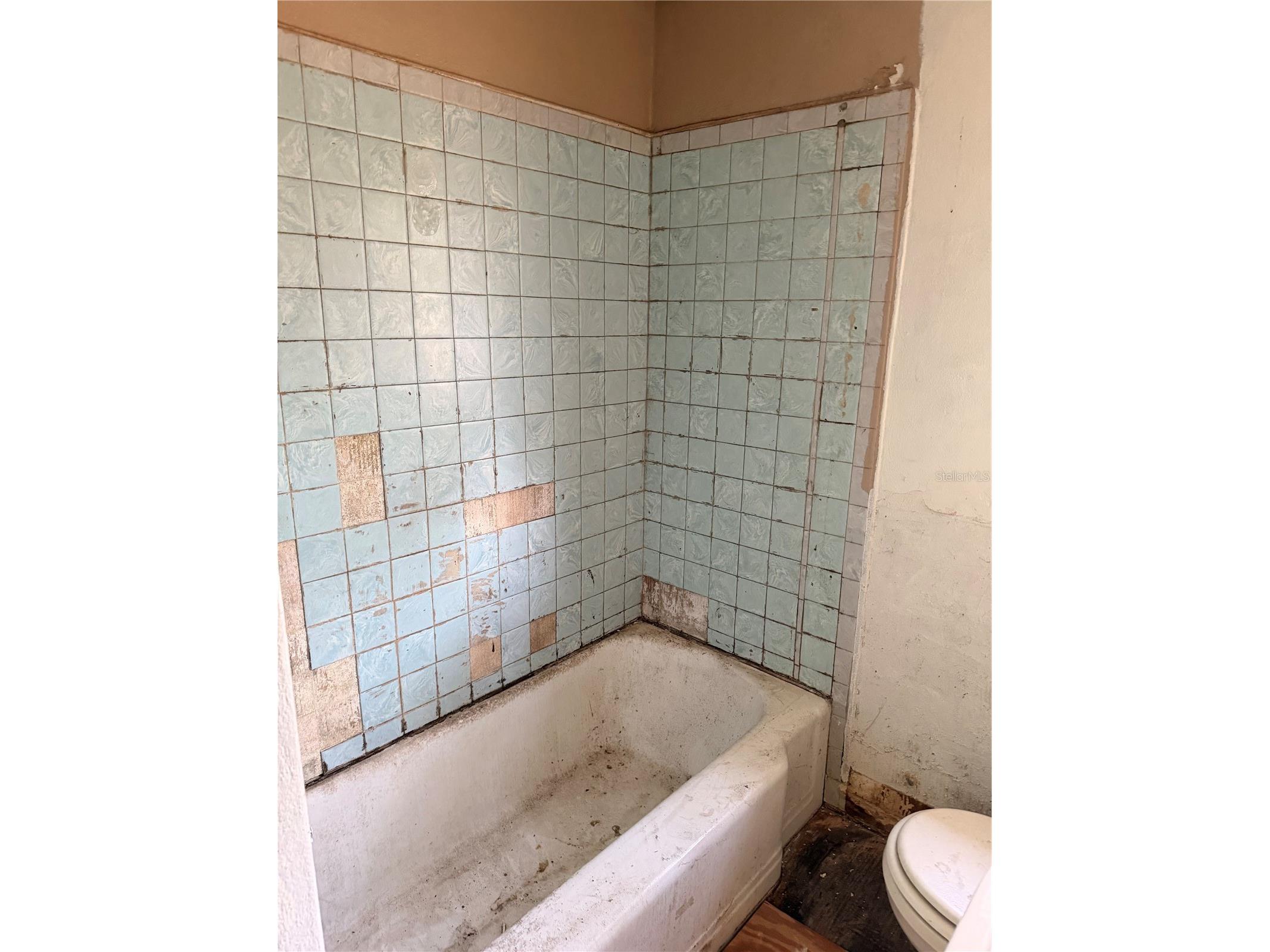 1129 Holly Avenue Daytona Beach FL 32117 O6386401 image11
