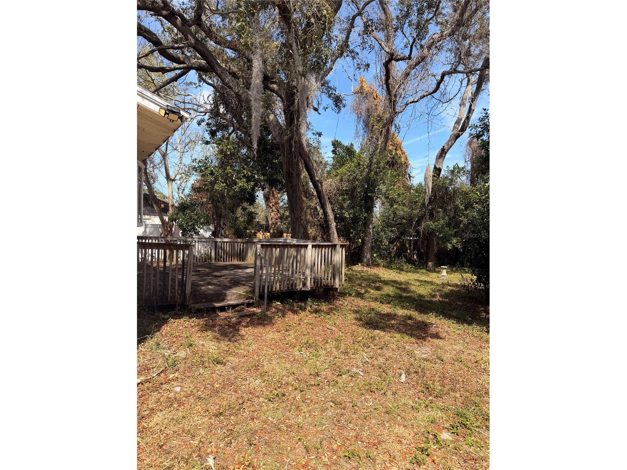 1129 Holly Avenue Daytona Beach FL 32117 O6386401 image17