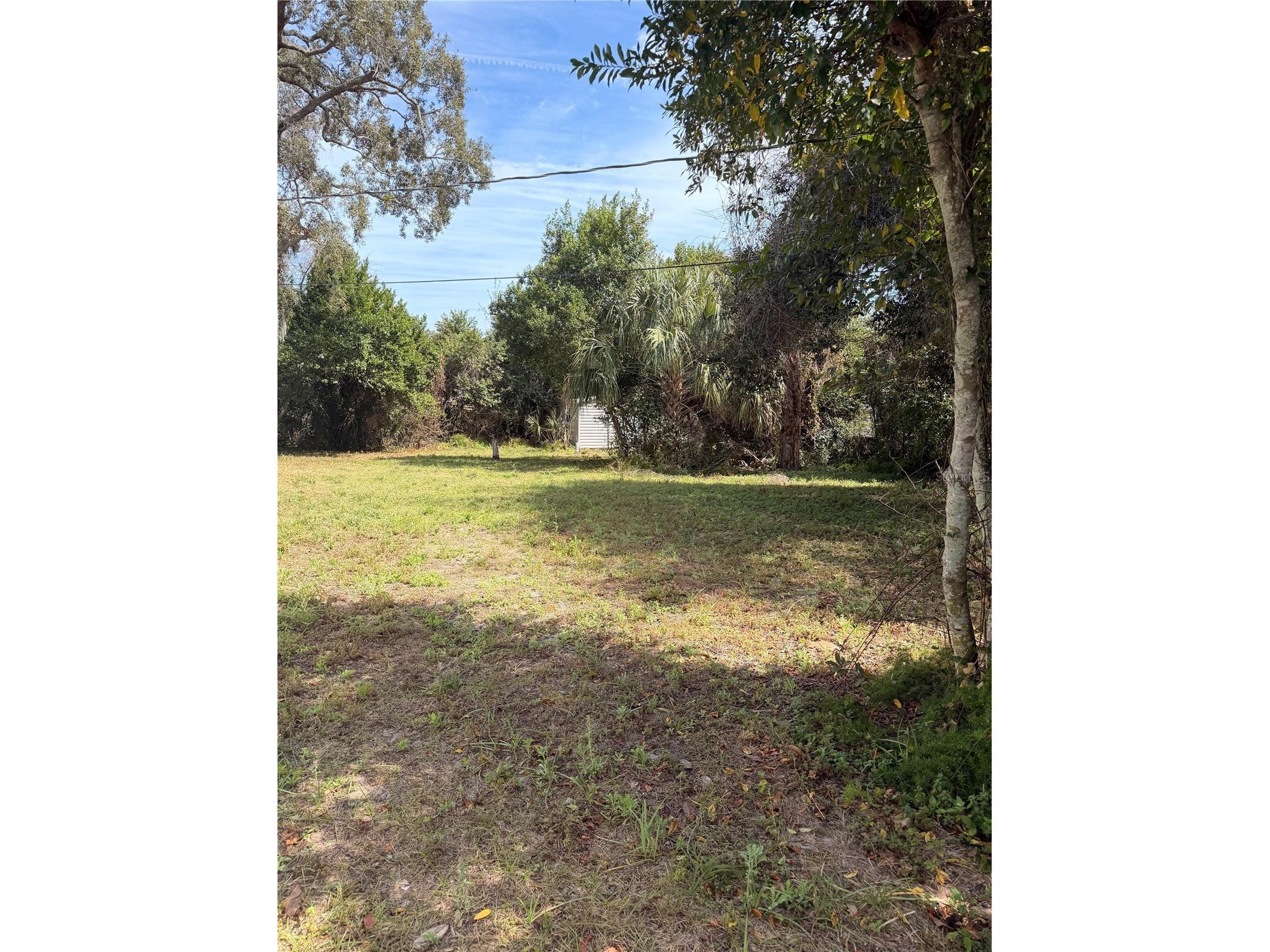 1129 Holly Avenue Daytona Beach FL 32117 O6386401 image19