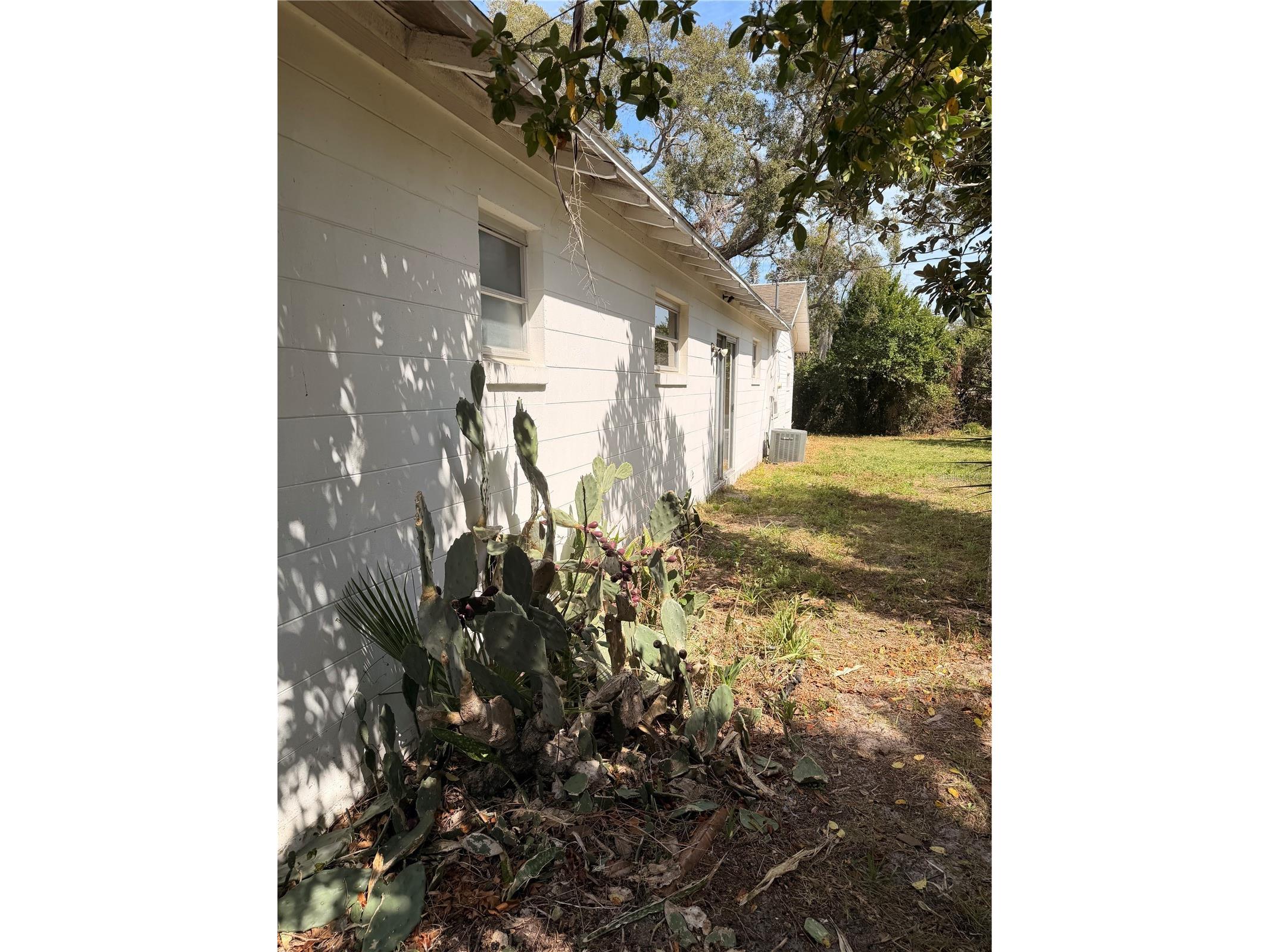 1129 Holly Avenue Daytona Beach FL 32117 O6386401 image20