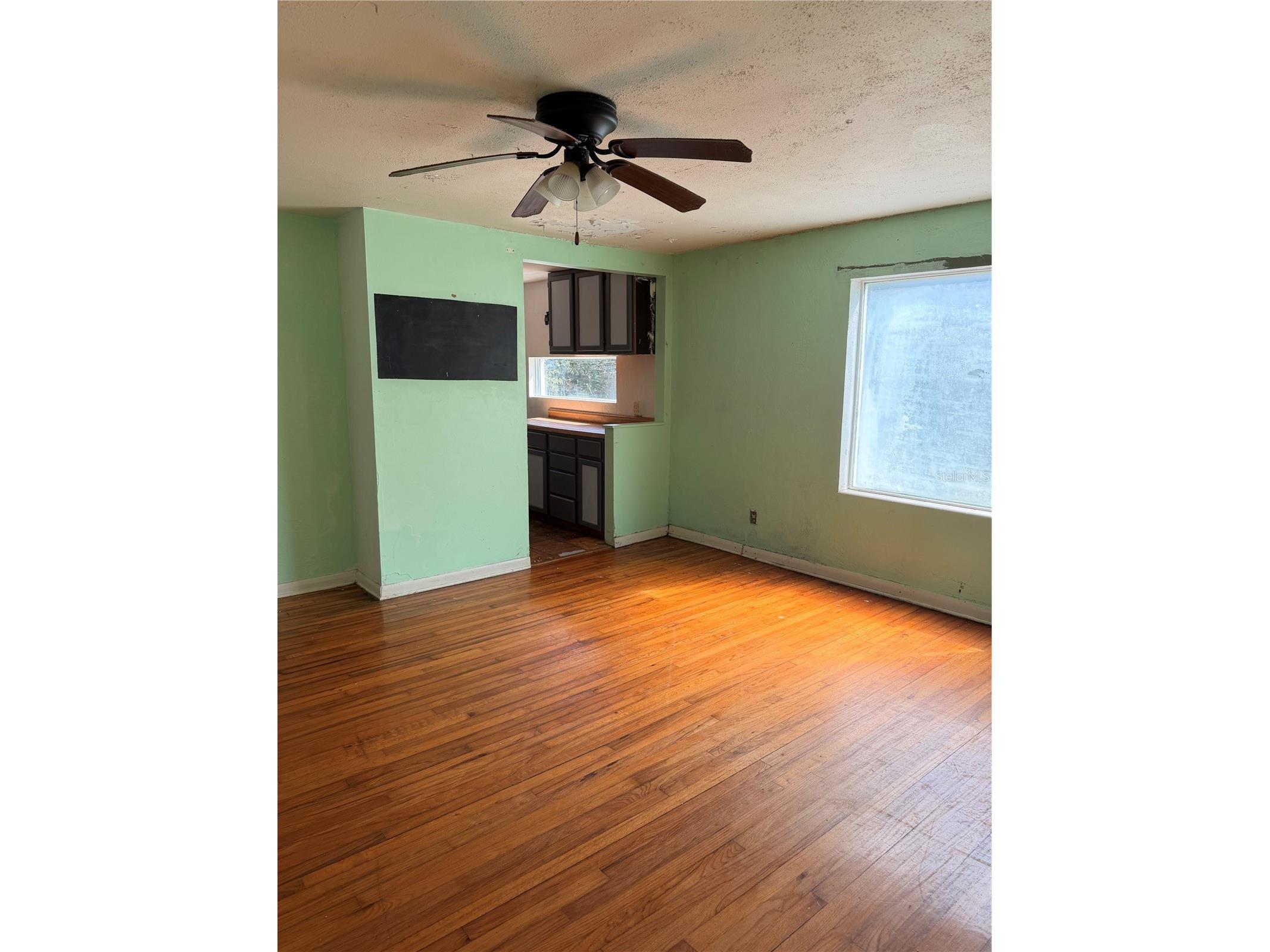 1129 Holly Avenue Daytona Beach FL 32117 O6386401 image5