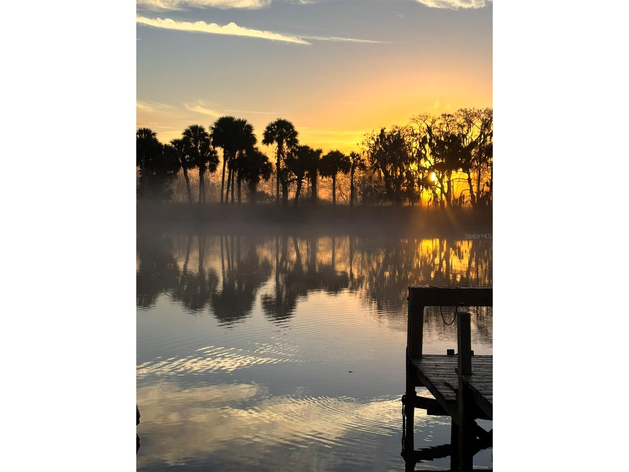 1129 Lemon Bluff Road Osteen FL 32764 - ST. JOHNS RIVER O6387264 image1