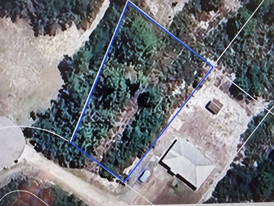 1129 Rose Street Lake Placid FL 33852 O6352883 image1