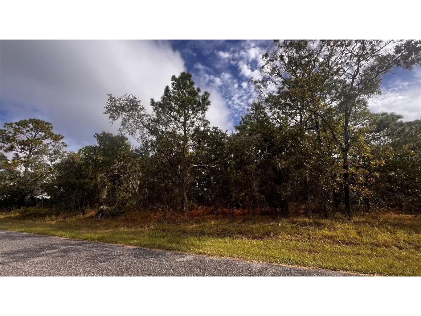 11290 Lapwing Road Weeki Wachee FL 34614 W7879785 image1