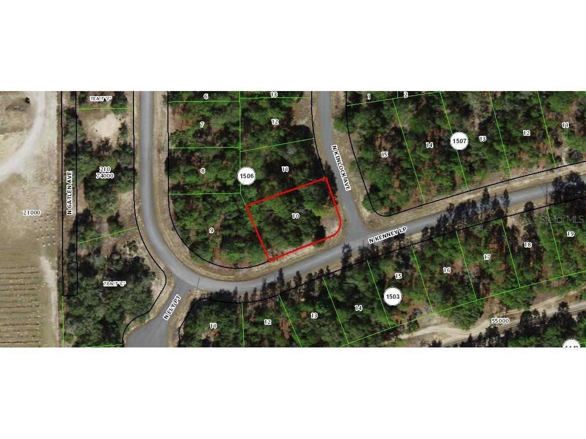 11290 N Kenney Loop Citrus Springs FL 34433 OM670092 image2