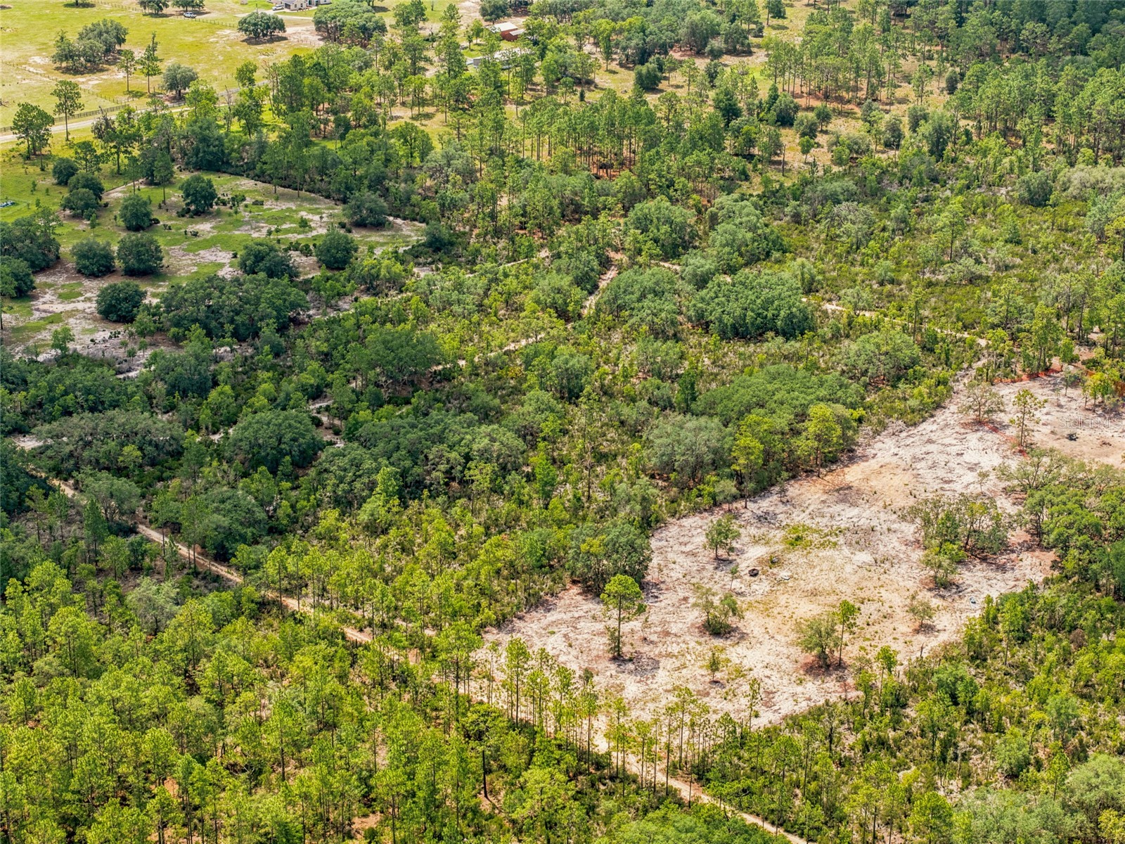 Lot 00 NE 56th St Bronson FL 32621 OM727565 image8