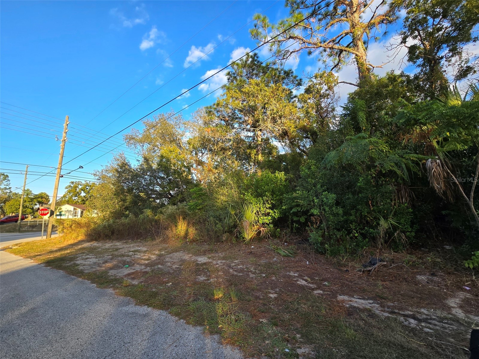 11290 Spring Hill Drive Spring Hill FL 34609 W7880474 image1