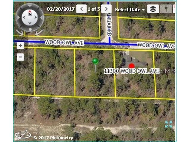 11290 Wood Owl Avenue Weeki Wachee FL 34614 T3436265 image1