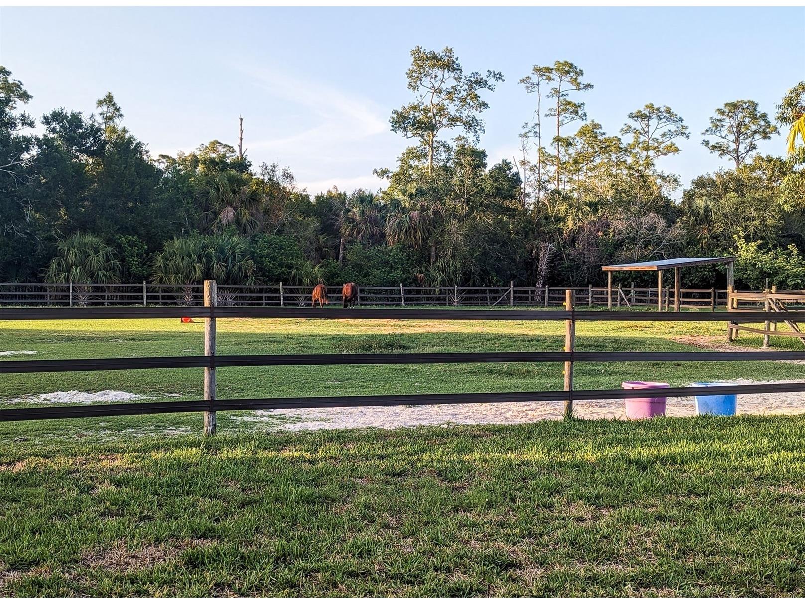 11291 Deal Road North Fort Myers FL 33917 OM721735 image44