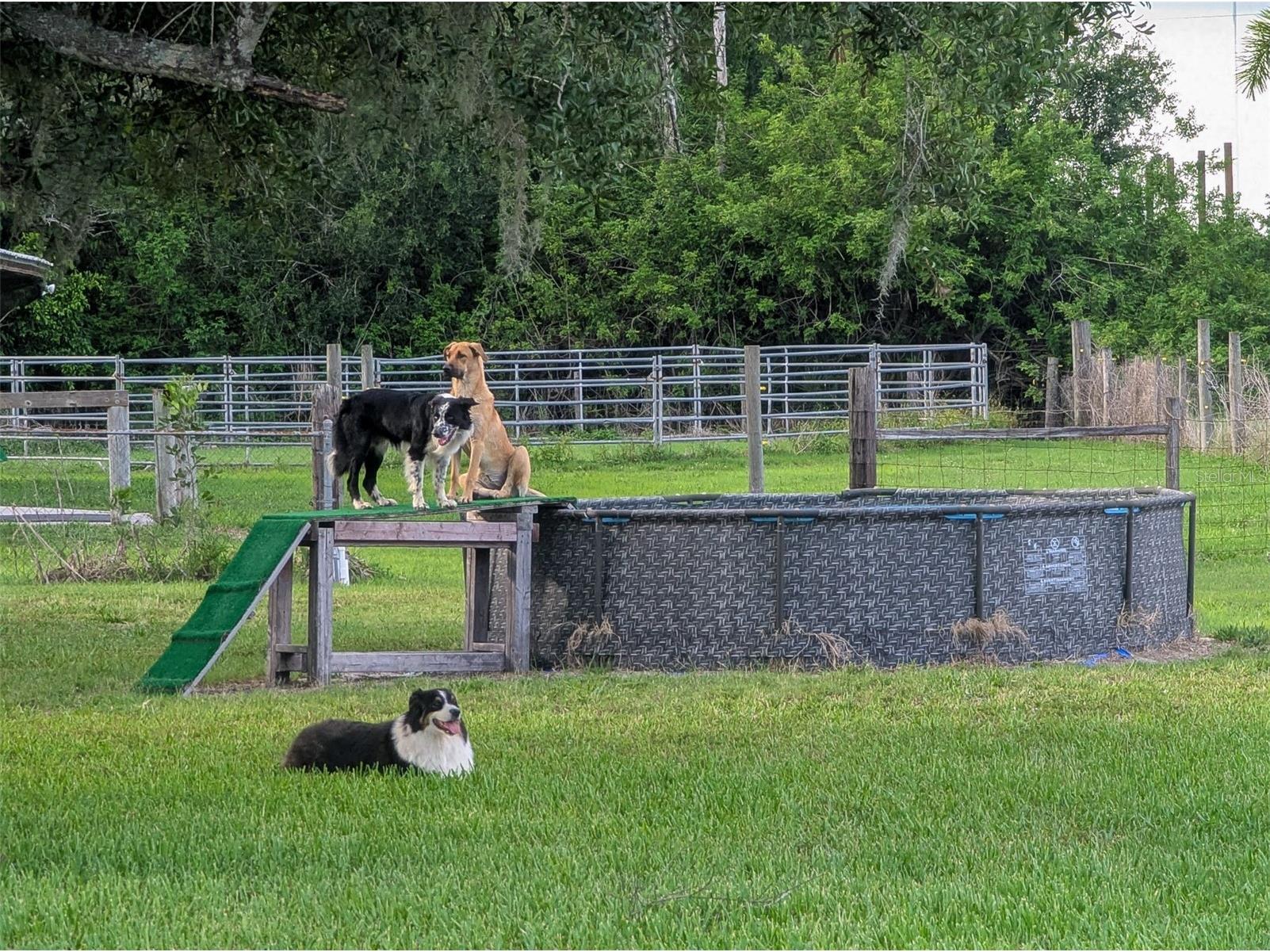 11291 Deal Road North Fort Myers FL 33917 OM721735 image45