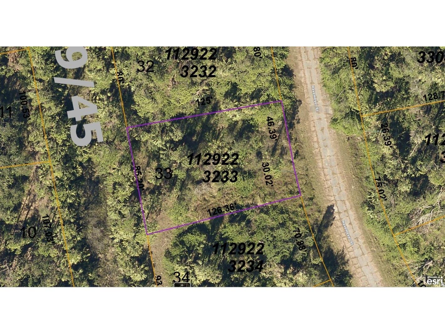 1129223233 Havemeyer Street North Port FL 34288 A4589541 image1