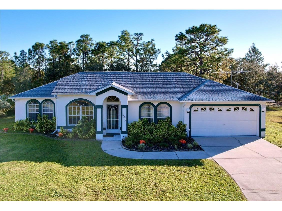 11296 Gallinule Avenue Weeki Wachee FL 34613 W7870416 image1