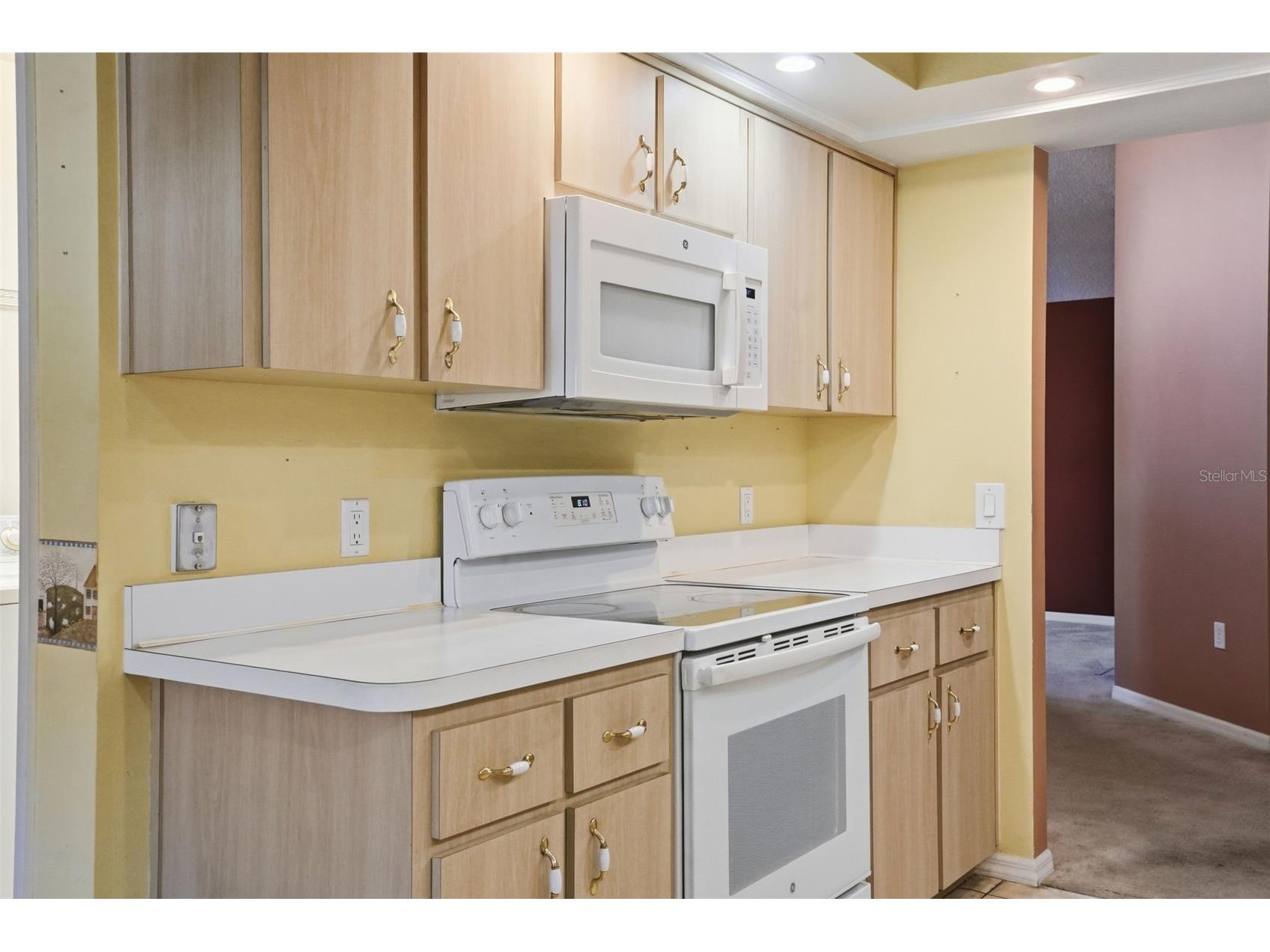 11298 Copley Court Spring Hill FL 34609 W7885522 image23