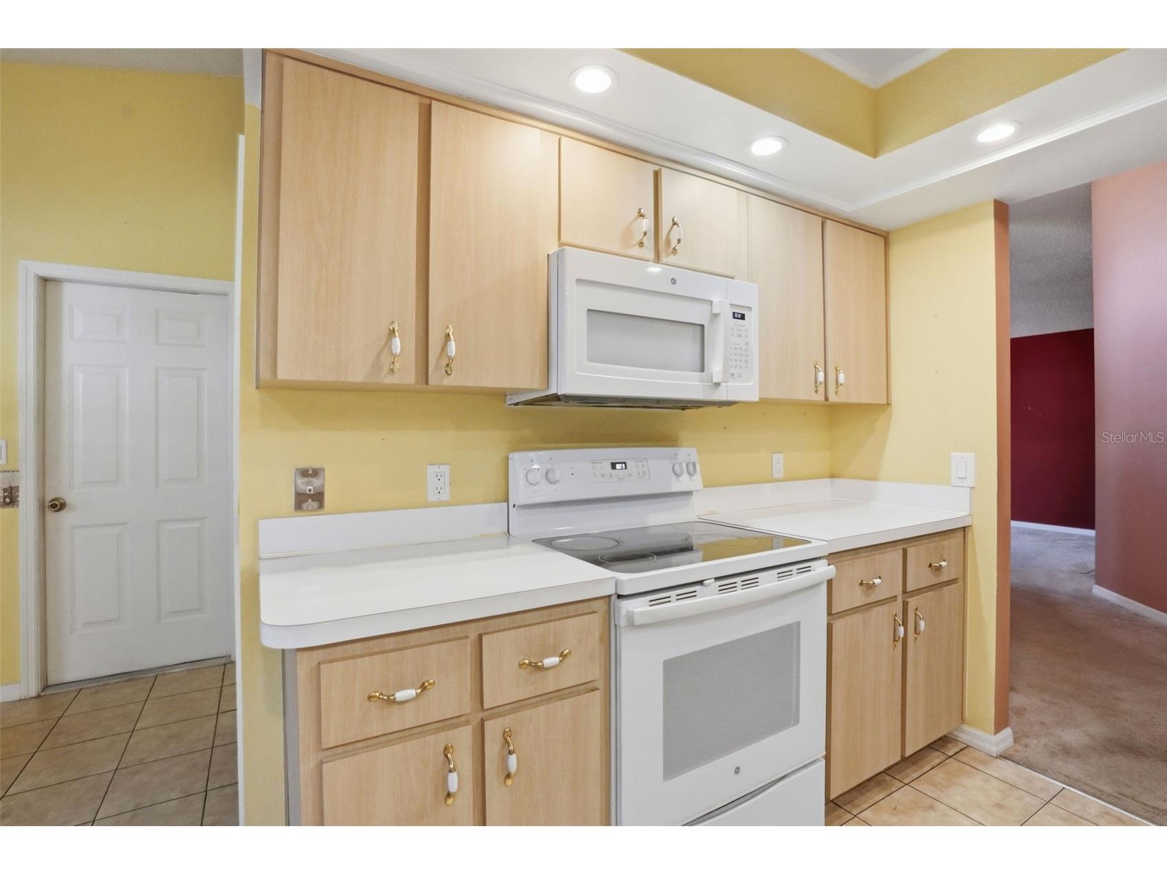 11298 Copley Court Spring Hill FL 34609 W7885522 image43