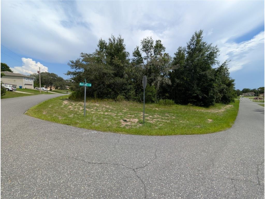 11298 Redgate Street Spring Hill FL 34609 O6334436 image1