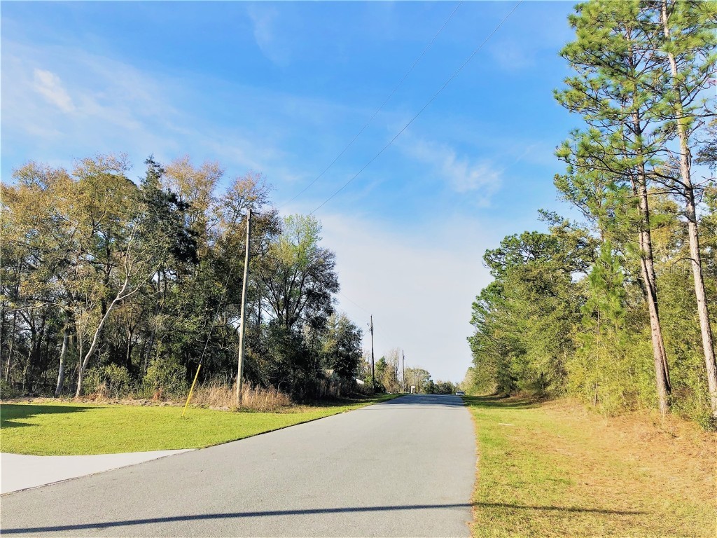 11299 N Bunny Terrace Citrus Springs FL 34434 OM653871 image1