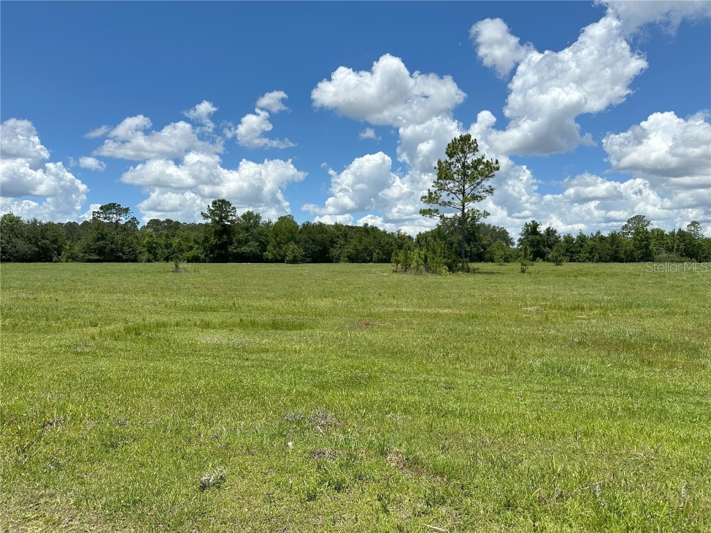 112ac - NE 130th Ct Rd NE 130th Ct Rd Fort Mc Coy FL 32134 OM688338 image1