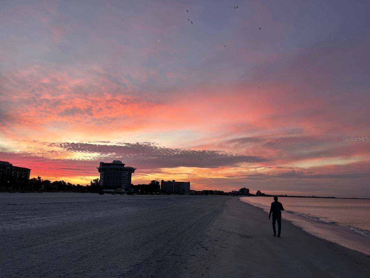 113 174th Avenue E Redington Shores FL 33708 TB8501980 image16