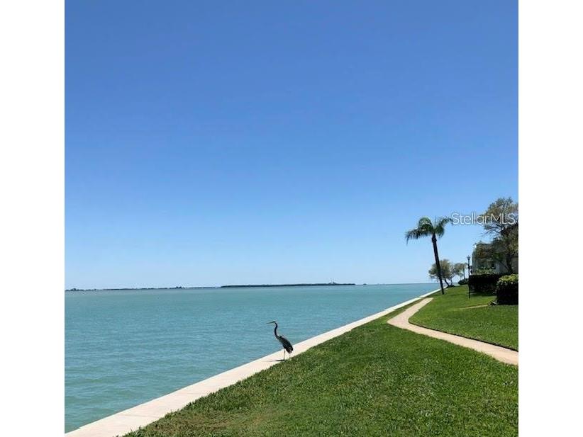 113 1st Street E #103 Tierra Verde FL 33715 TB8483001 image22
