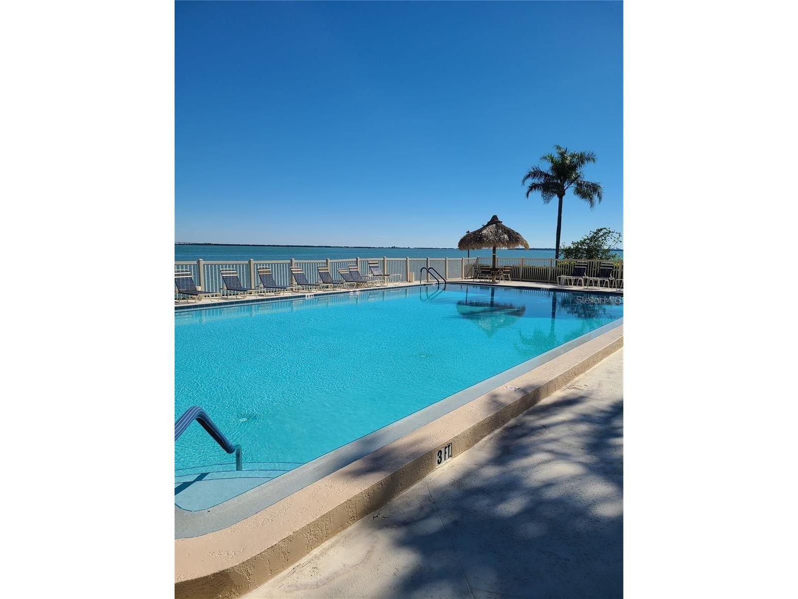 113 1st Street E #103 Tierra Verde FL 33715 TB8483001 image25