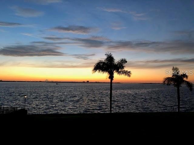 113 1st Street E #103 Tierra Verde FL 33715 TB8483001 image31